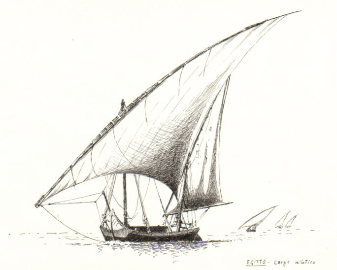 13 Egitto - cargo nilotico